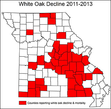 Missouri counties where rapid white oak mortality has been reported