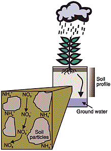 Leaching process