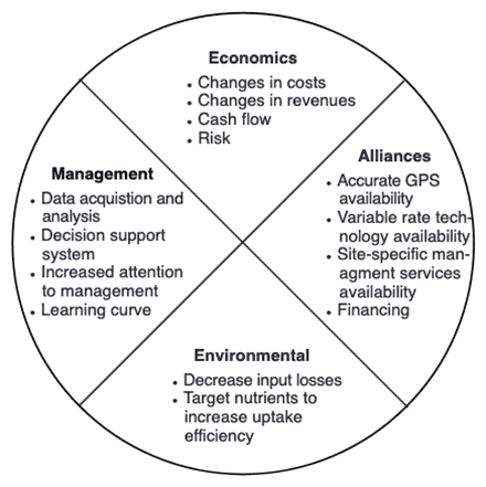 Economic, alliance, environmental and management issues