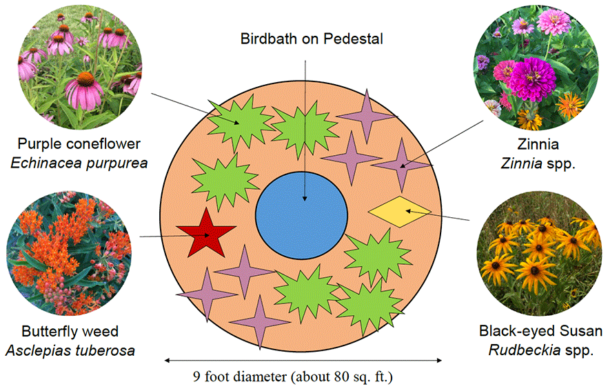 Planning a Butterfly Garden