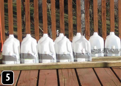 A row of milk jugs containing seedlings on an outdoor deck.