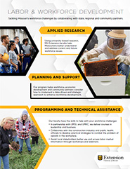 Labor Workforce flyer