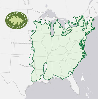 Map of white oak regions