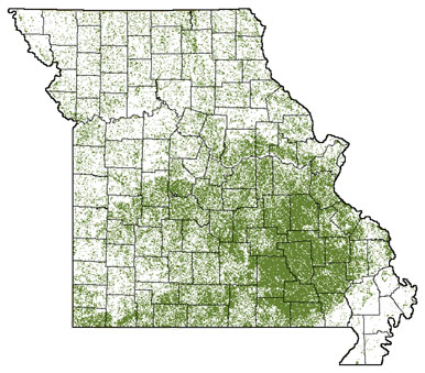 Map of Missouri's forests