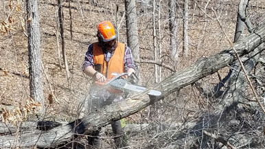 person operating a chainsaw on a log