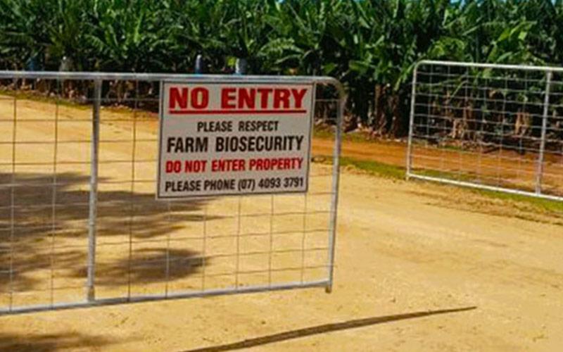 No Entry sign: Please respect Farm biosecurity Do not enter property, please phone