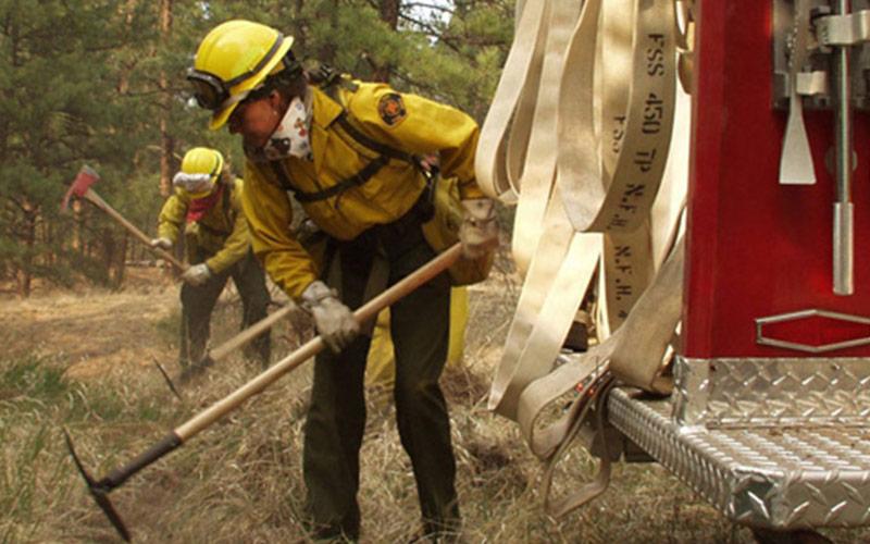 Fire Operations in the Wildland/Urban Interface