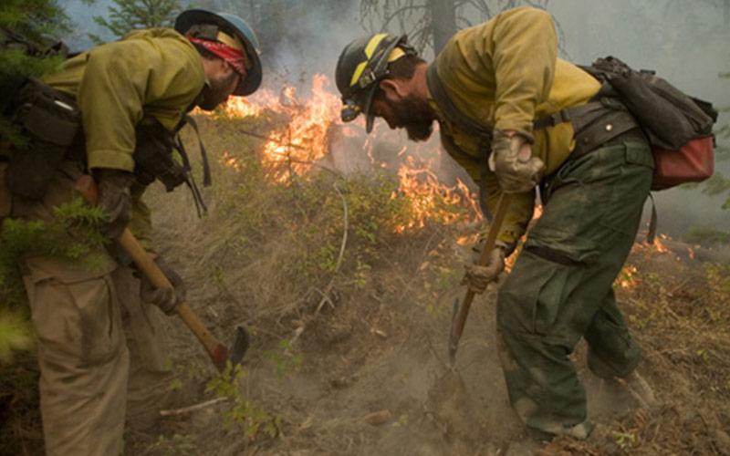 Wildland Urban Interface Firefighting for Structural Company Officers