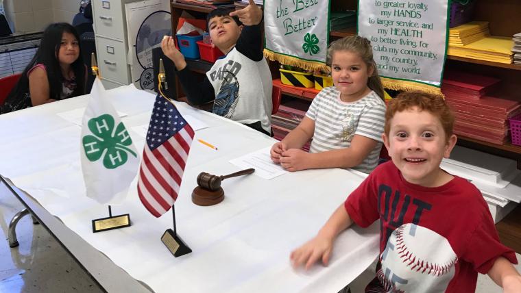 Second graders at Noel Primary School in McDonald County learned about parliamentary procedure during in class 4-H programming during the 2019-20 school year.