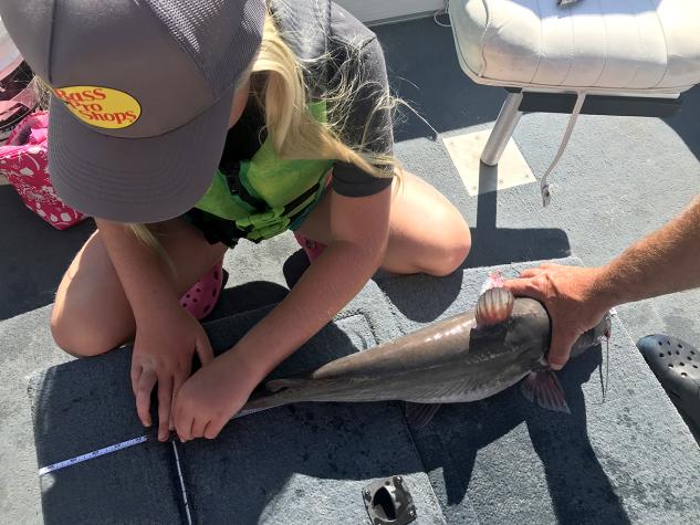 Benton County 4-H'er Molly Strozewski measures a catfish during the 2020 State 4-H Sportfishing Event, a virtual event held by Missouri 4-H in June.
