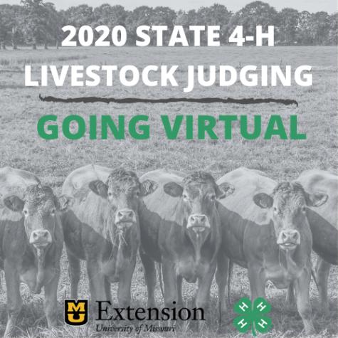 The 2020 Missouri 4-H State 4-H Livestock Judging Contest.