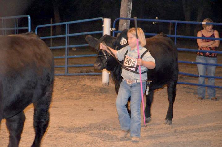 Jenna Hasekamp showing livestock at the 2011 Centralia Cattle Show, her first as a 4-H’er.