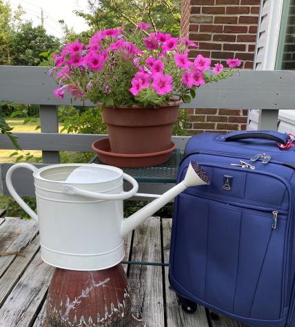 MU Extension horticulturist Michele Warmund gives tips on keeping your plants healthy while you’re on vacation. Photo by Michele Warmund.