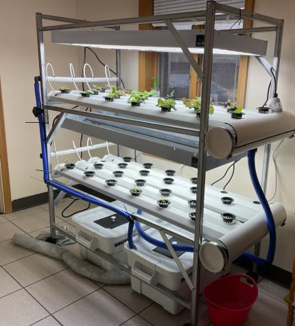 Hydroponic units come in various sizes and prices. This unit uses the nutrient flow technique, which allows plants to grow in a nutrient solution that circulates around the root system. Photo courtesy of Donna Aufdenberg.