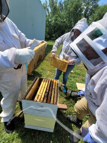 MU Extension offers Heroes to Hives for veterans who want to learn about beekeeping. MU Extension offers three training sites in the state, with a fourth to be added in 2024. Photo courtesy of Eric Work.