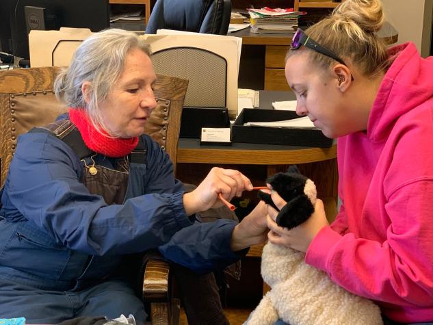 Inserting feeding tube into toy lamb