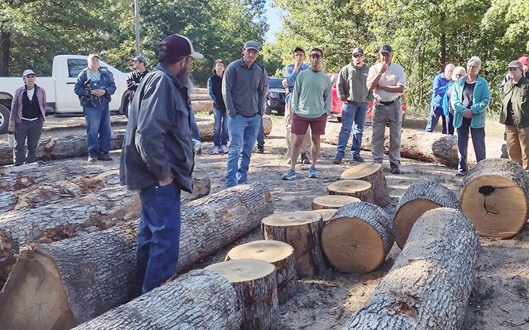 People observing timber on the ground