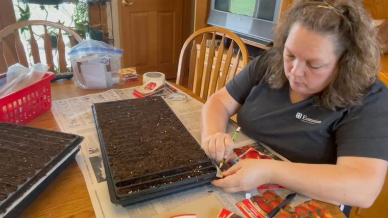 Donna Aufdenberg plants vegetable and flower seeds.