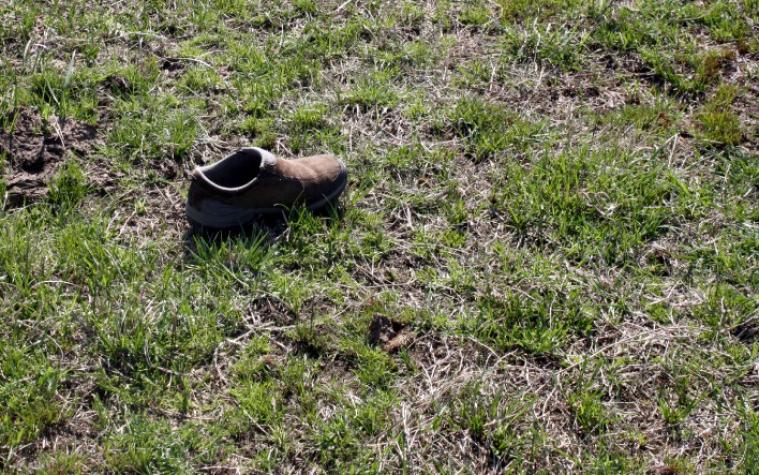 shoe in field