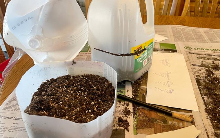 plastic jug greenhouse