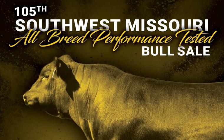 bull sale
