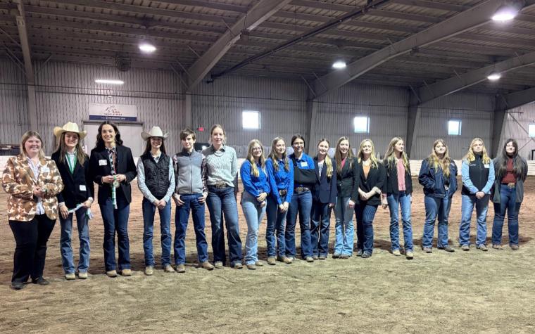 Youths at horse judging contest