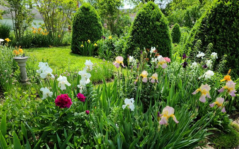Ste. Genevieve garden walk