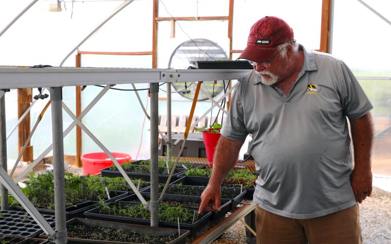 Larry Roberts in greenhouse