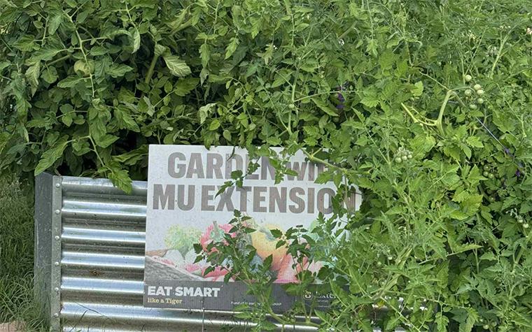 Community garden