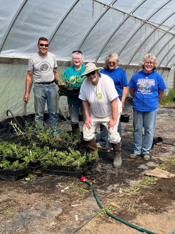 Volunteers repotting milkweed
