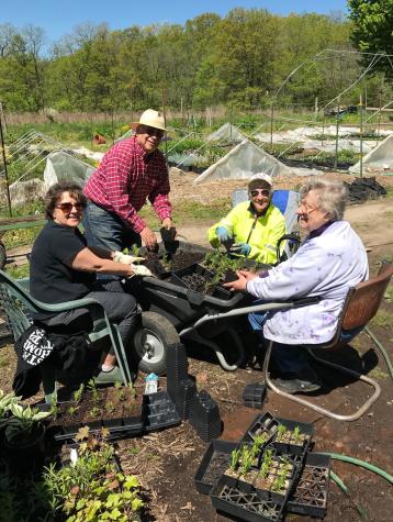 Volunteers pot milkweed seedlings