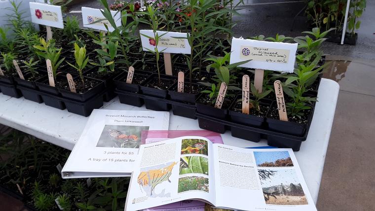 Educational materials at Master Gardener event