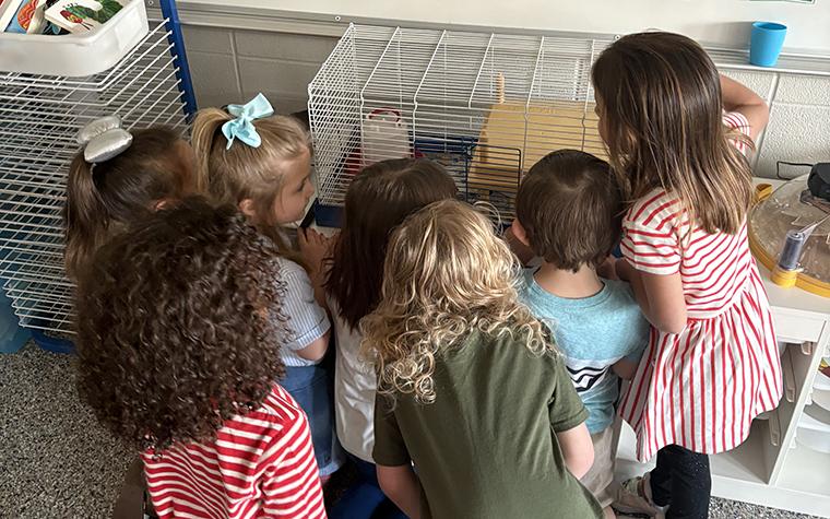 Elementary school students gathered around newly hatched chicks