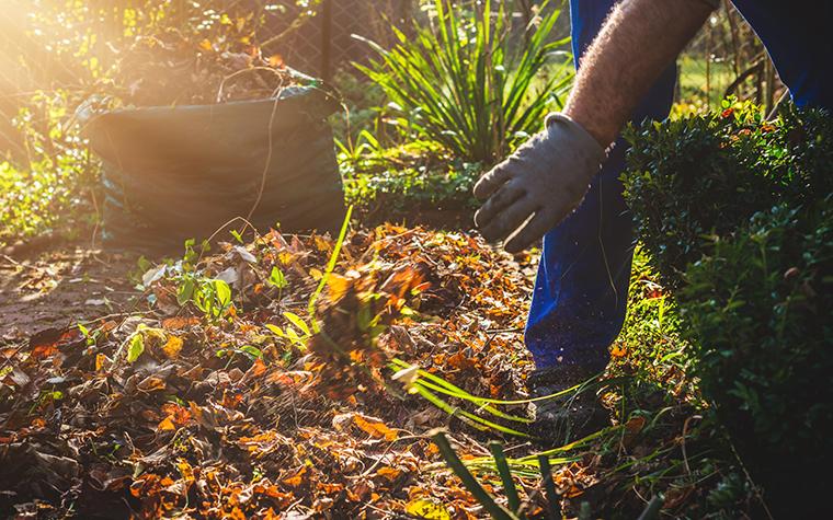 Garden cleanup