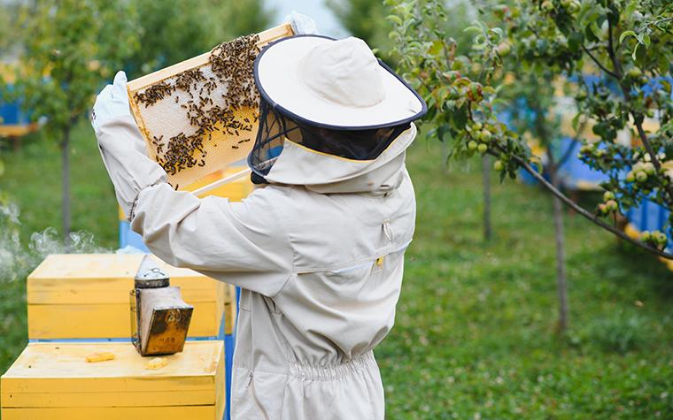 Beekeeper