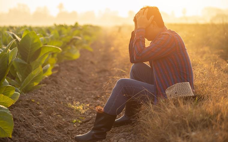 Stressed farmer in field