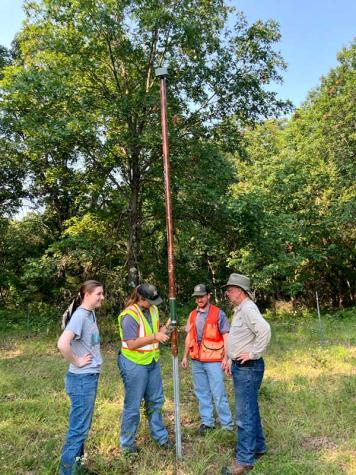 Bat monitoring
