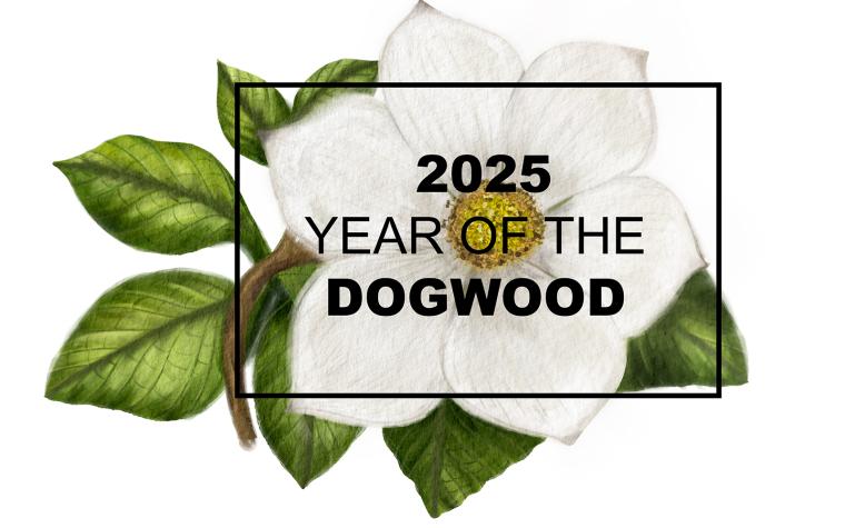 2025: Year of the Dogwood