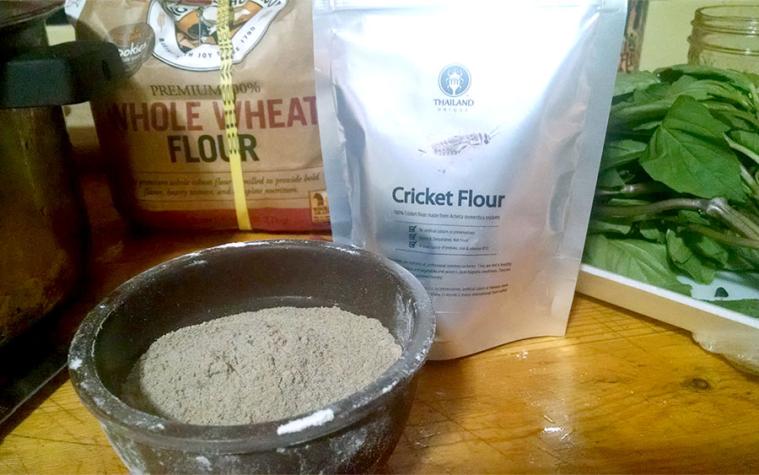 Cricket flour.