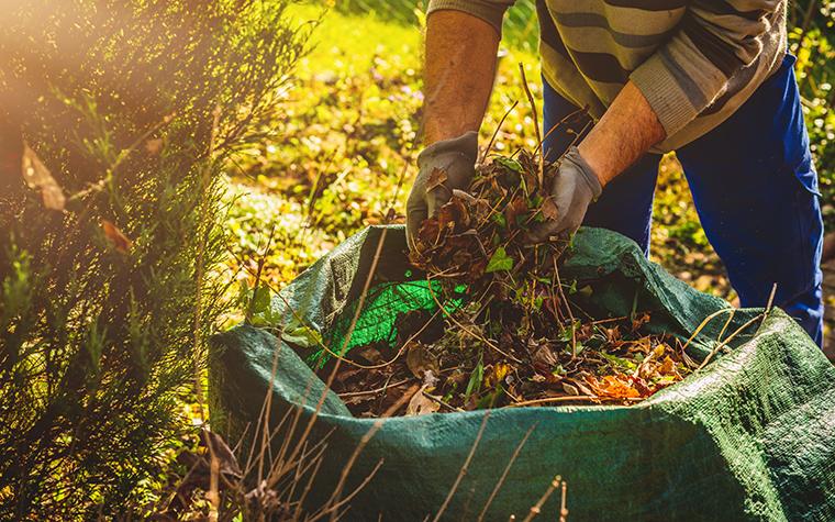 cleaning up garden in fall