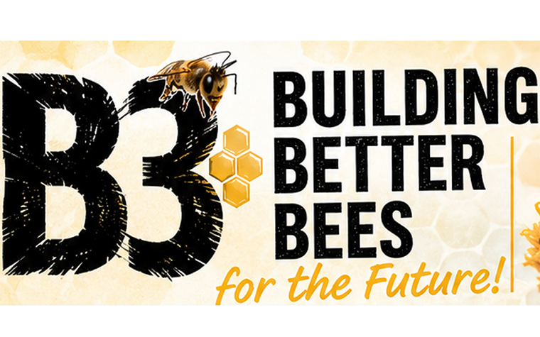 Building Better Bees for the Future