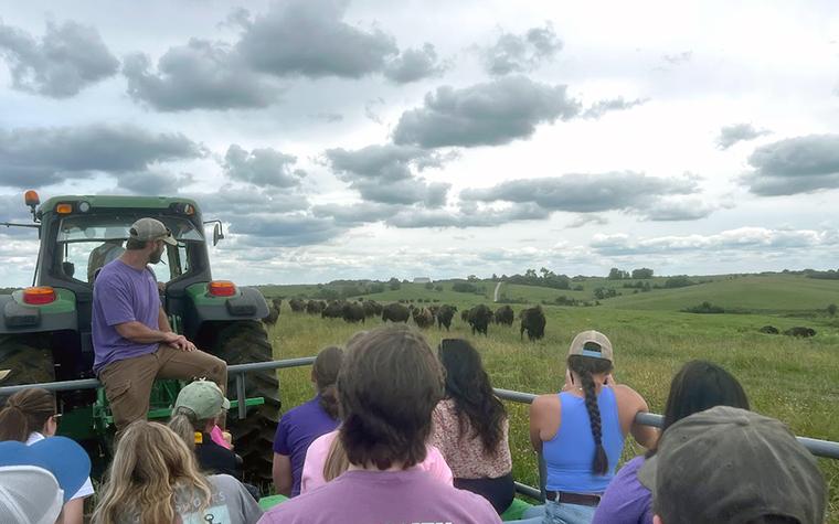 Dunn Ranch Prairie Tour with Bison
