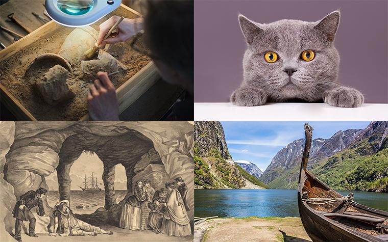 Collage: archaeolgist, cat, Viking boat in Norway, illustration of Charles Dickens acting on stage