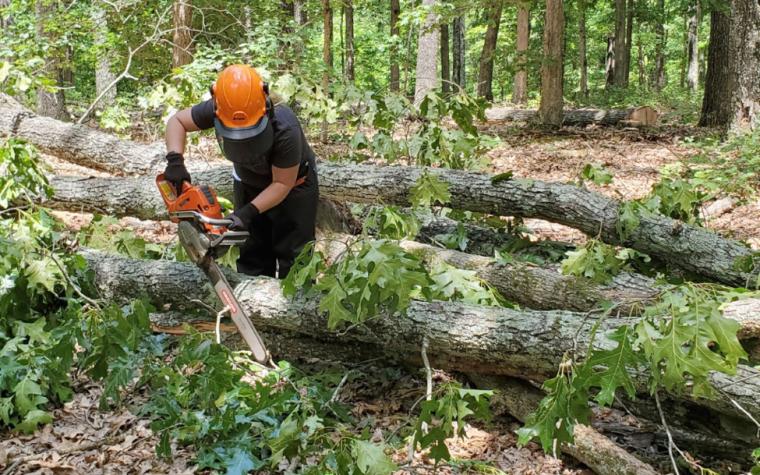 Woman using chain saw on fallen tree