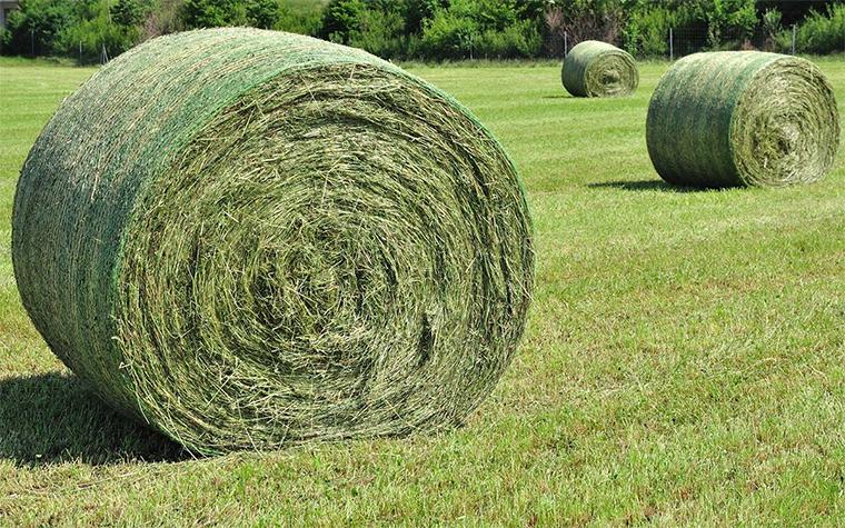 Hay bales