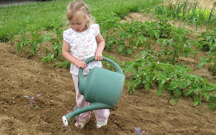 Little girl with big watering can