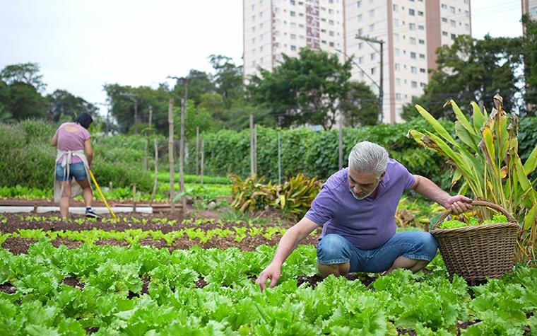 urban farm