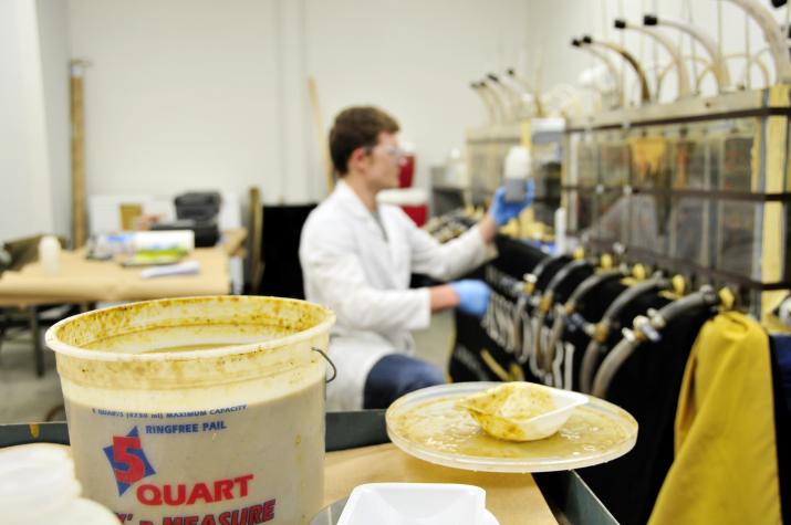 Buckets of food waste puree are delivered from suppliers in California. Bobby Palmer, an MU student lab assistant, draws samples of the digested food waste out of digesters in the background to take daily measurements. Roger Meissen/MU Cooperative Media Group