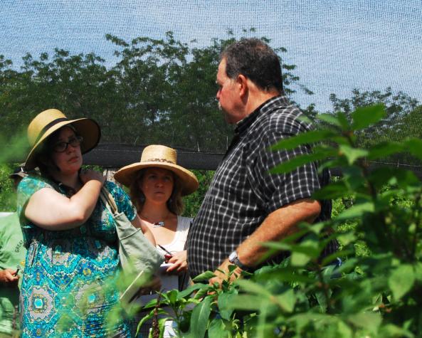 During a farm tour, Megan Woodland and Molly Rockamann ask John Knoll about plant varieties he grows under a shade canopy at Seven Cedars Farm near Jonesburg, Mo.  Woodland said she has a passion for medicinal plants and is working to strengthen seed lineUniversity of Missouri 