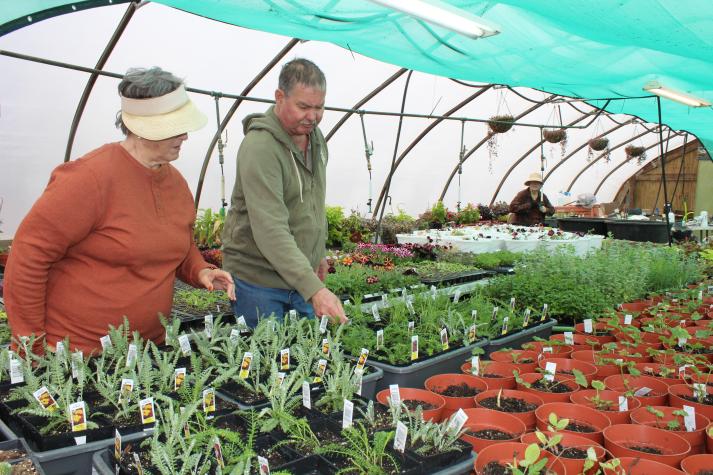 Master Gardeners Sue Priest and Tom Maxwell check out plants in the Maxwell greenhouse. Photo by Linda Geist
